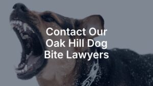 Contact our Oak Hill dog bite lawyers