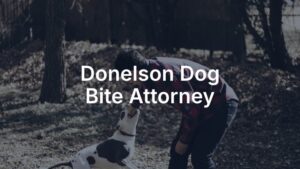 Donelson dog bite attorney