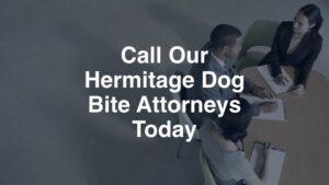 Call our Hermitage dog bite attorneys today