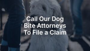 Call our dog bite attorneys to file a claim